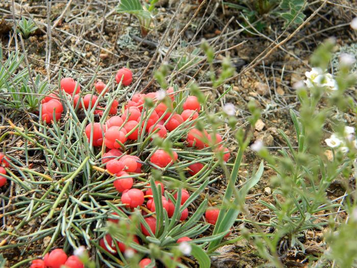 ������. ��� ���������� �������� ����. � ���� ��� � �� ��� ���� �� ����������.