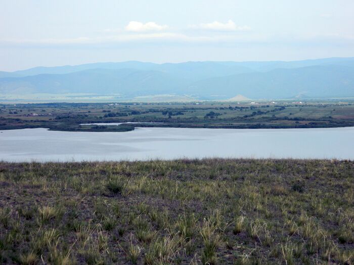 ����������� ����� �����, ����� ����� ���� ������� ��������