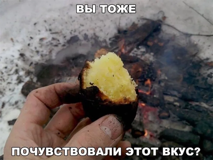 The crunch of ash on the teeth - the USSR, Potato, Baked potato, Picture with text, Opalikha