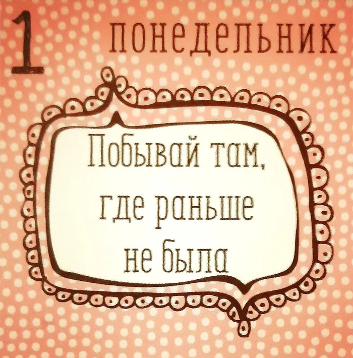 Вайб дня от 1 июля - Моё, Календарь, Кот, Кот учёный, Милота, Длиннопост