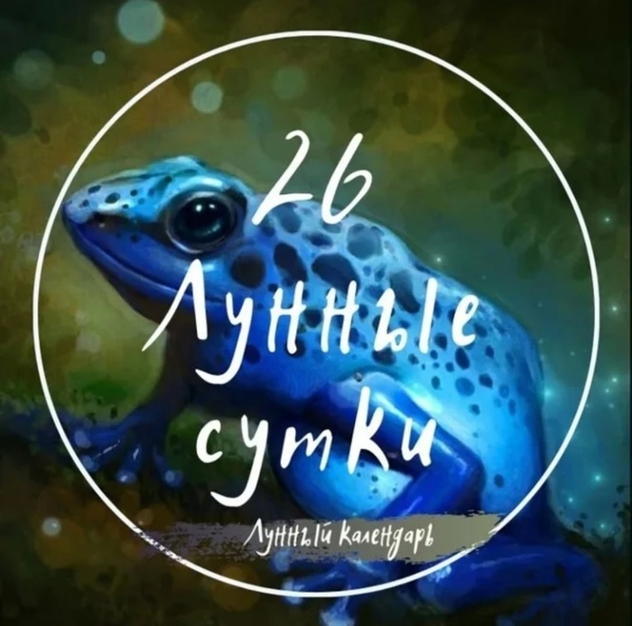 26  :   