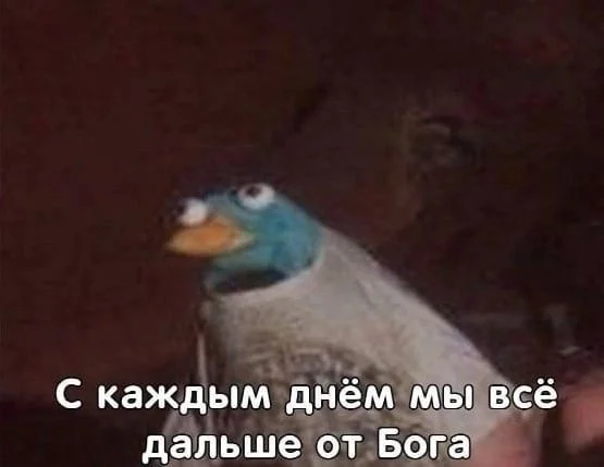 Ответ на пост «Подросток получил удар от разгневанного охранника» - Негатив, Избиение, Охранник, Происшествие, Подростки, ВКонтакте (ссылка), Ответ на пост