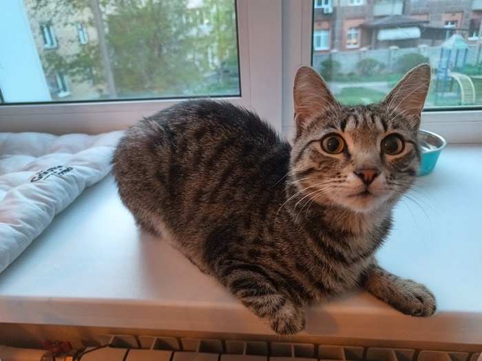 � ��� ���, ������� ���� ���.