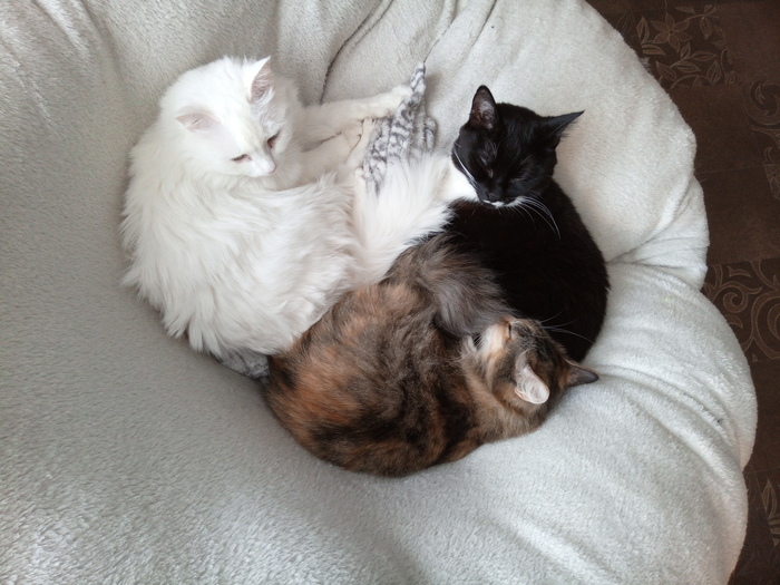 ��� ��������!