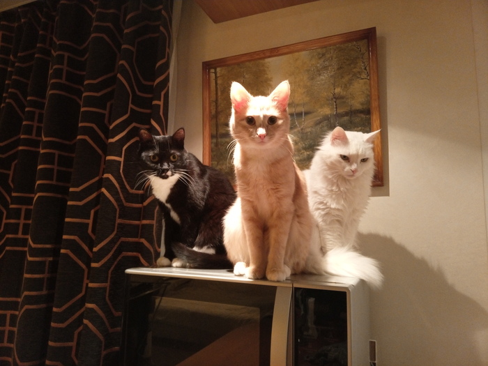 � ��� ����� ��� �� ����, � ������ ��������� ����� ����������. ��� ��������!