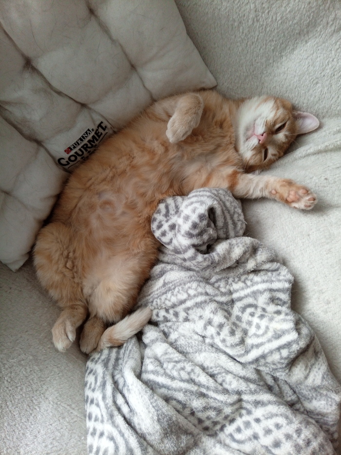 �������� ��������.