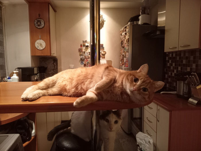 �� ��, ���� ���������?