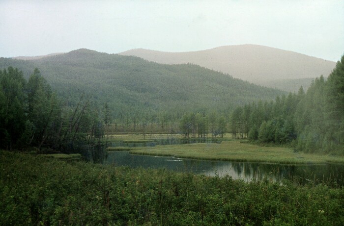 -,   ,      . ,  ,        -.  90-   .