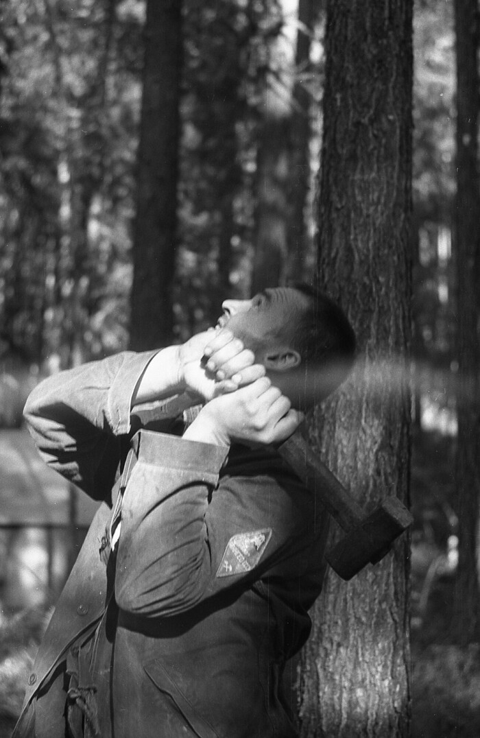 Самый простой способ набить шишек. Не только с дерева, но и на лбу.