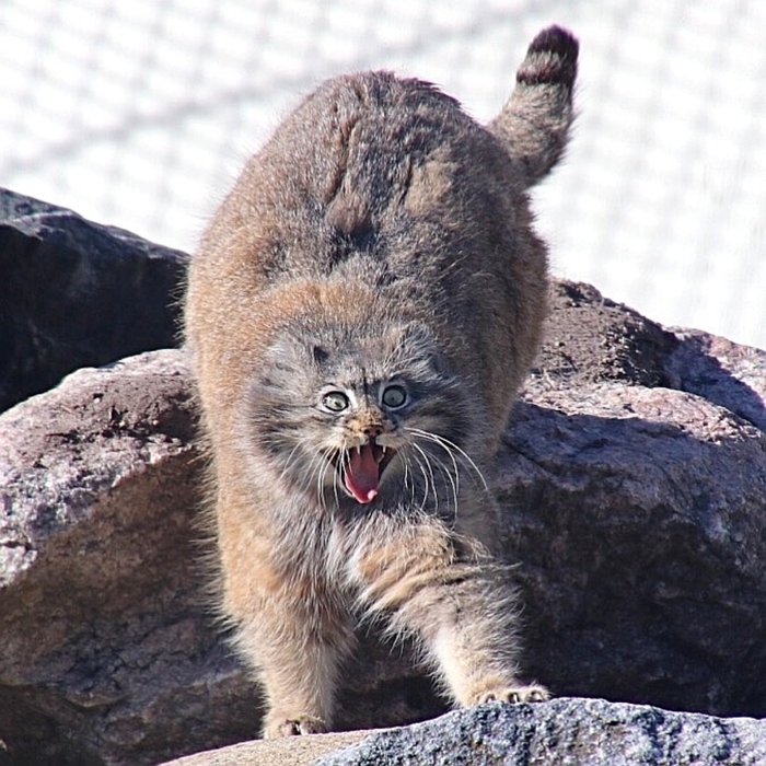 Пятницо-о-о-о-о!