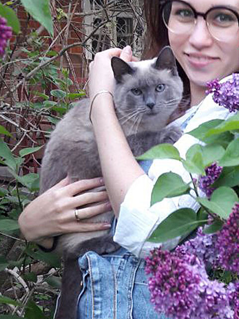 Affectionate kitty Kisa Siamese cat phenotype is looking for a home and a kind heart - My, In good hands, Homeless animals, cat, Cat lovers, No rating, Is free, Moscow, Longpost