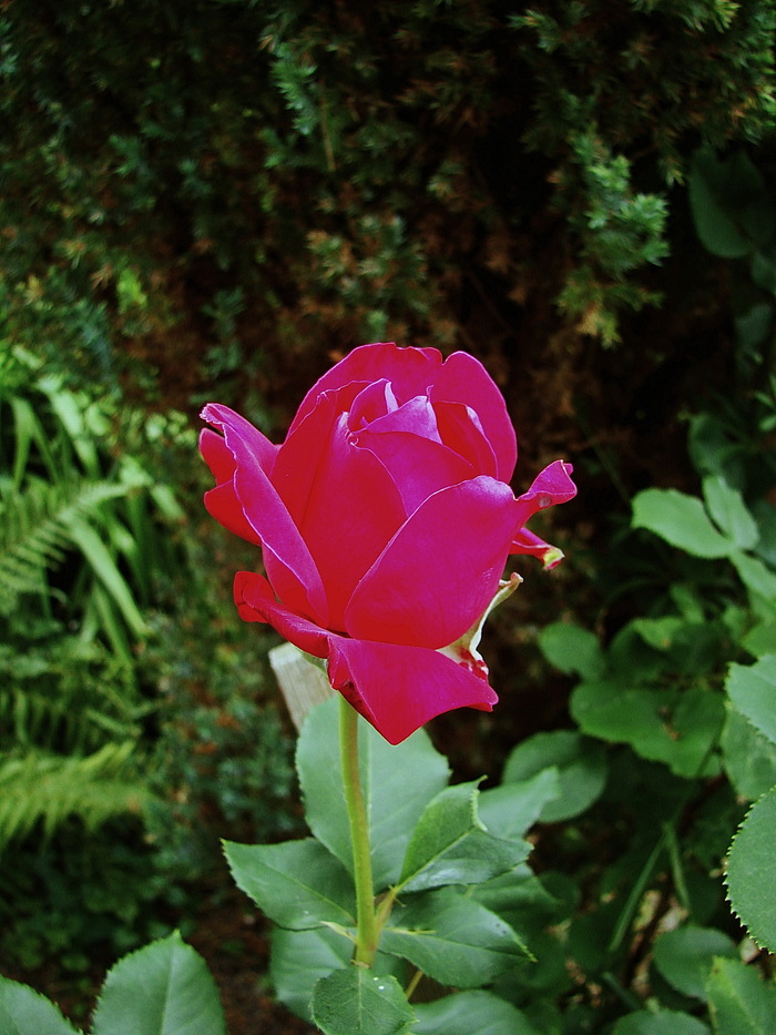 Не смотря на периодические шторма и ливни, июнь был ярким и жарким!