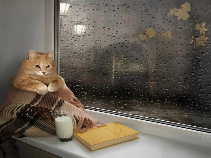 Продолжение поста «Дневник самосовершенствования »