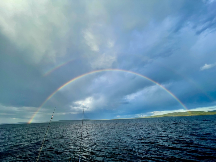 Гляжу тут Rainbow в цене