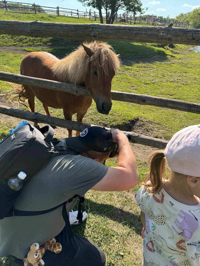 How I photographed swans on the river - My, The photo, Horses, Camera, Nature, Longpost, Photo hunting