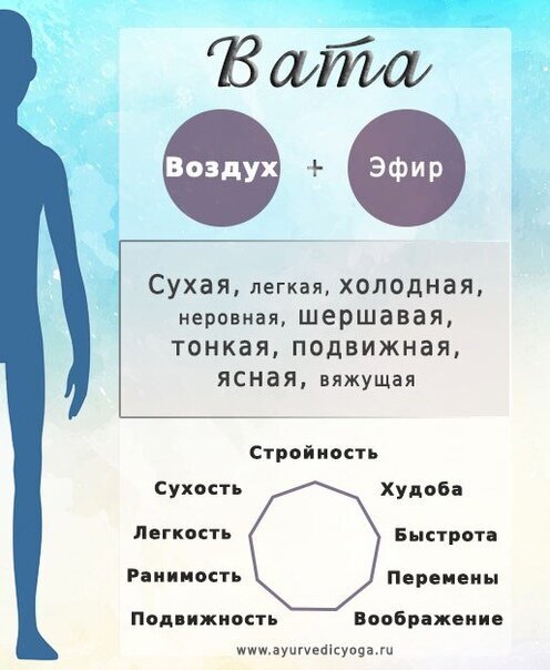 Three types of human body - Self-development, Health, Sport, Yandex Zen (link), Longpost