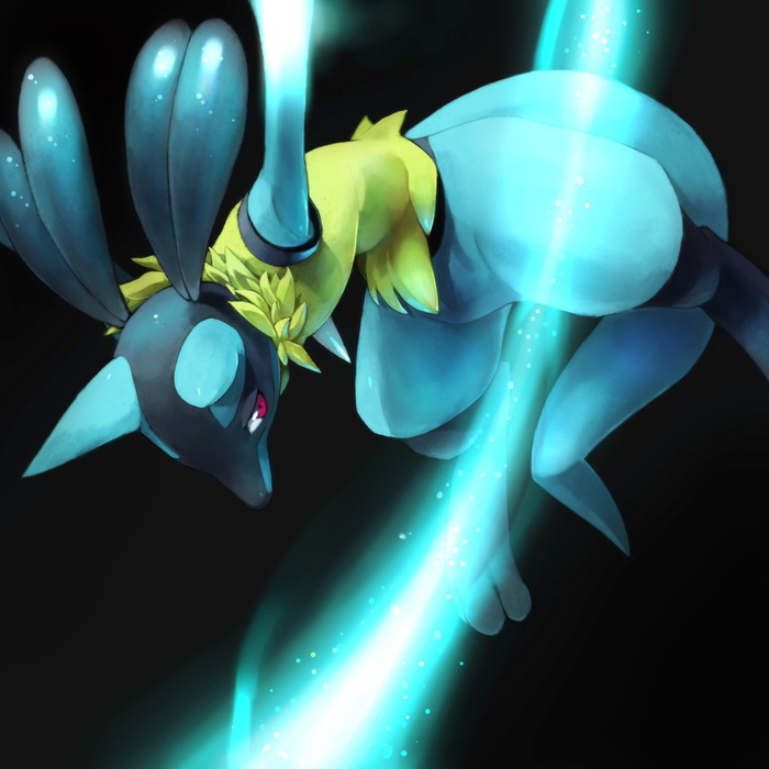- ,    2010:  shia_37! , , Lucario, 2010