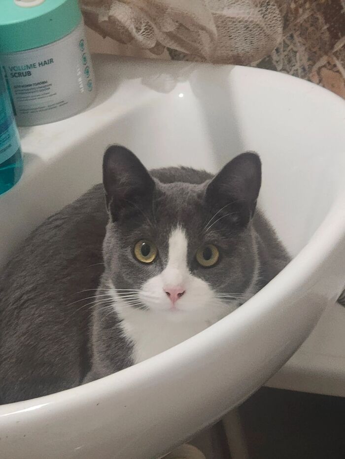 ,   ,  !  ,   ,    