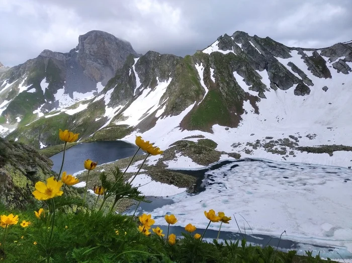 Scheduled at the end of June. Mountains, snow, flowers and greenery! - My, Tourism, The mountains, Hike, Mountain tourism, Caucasus mountains, The rocks, Туристы, Karachay-Cherkessia, Camping, Caucasus, Longpost, The photo