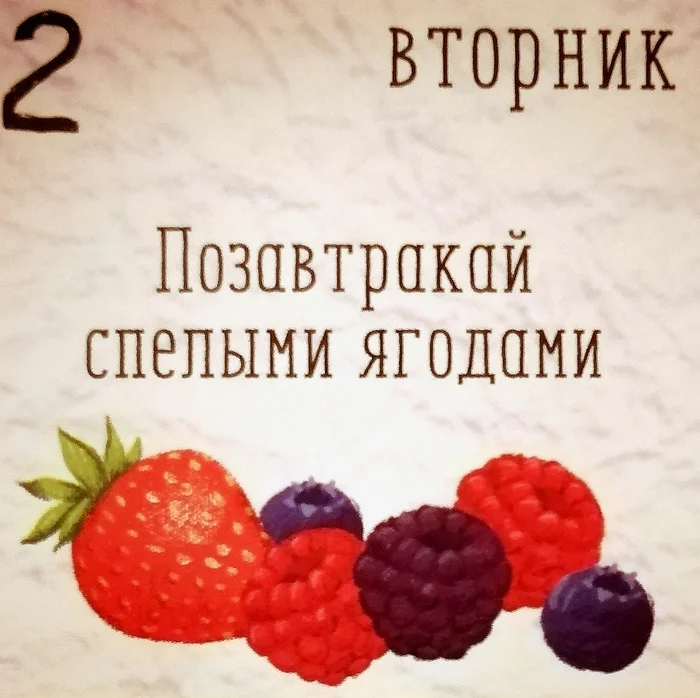 Вайб дня от 2 июля - Моё, Календарь, Вайб, Кот учёный, Кот, Милота, Видео, Вертикальное видео, Длиннопост