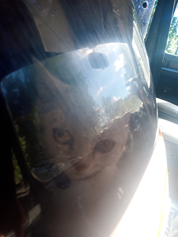 Продолжение поста «О наконец настал тот час!»