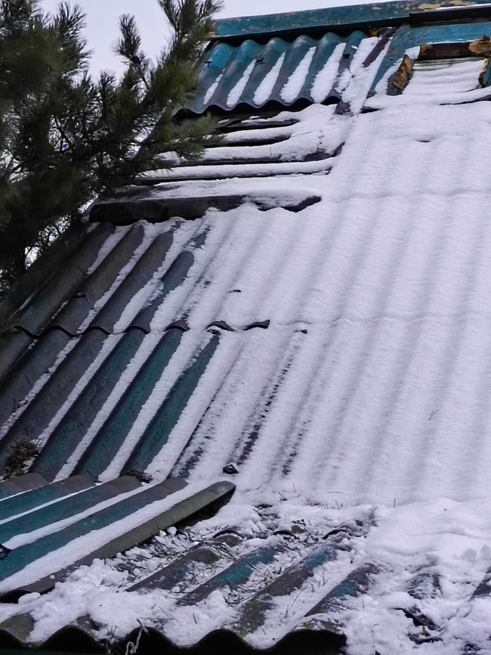 ���� ����. ��� ��������