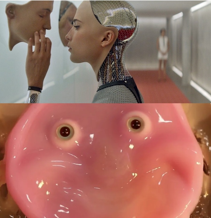 ��������: ������� vs �����������