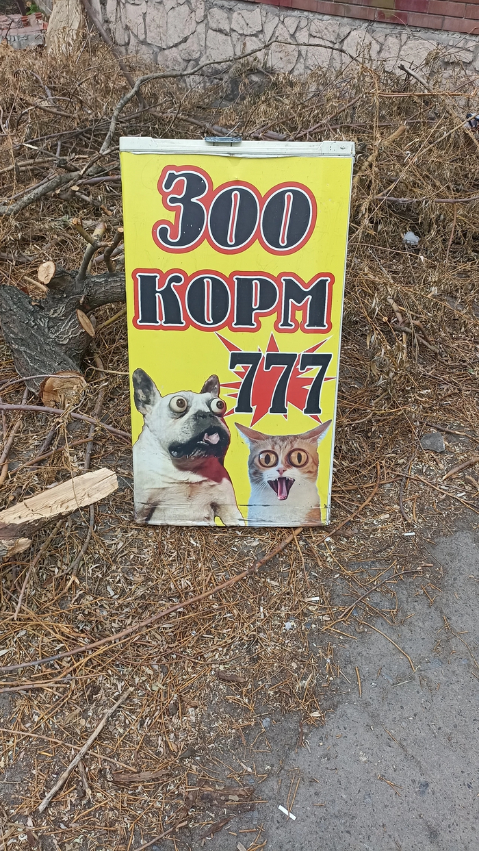 ���� �����