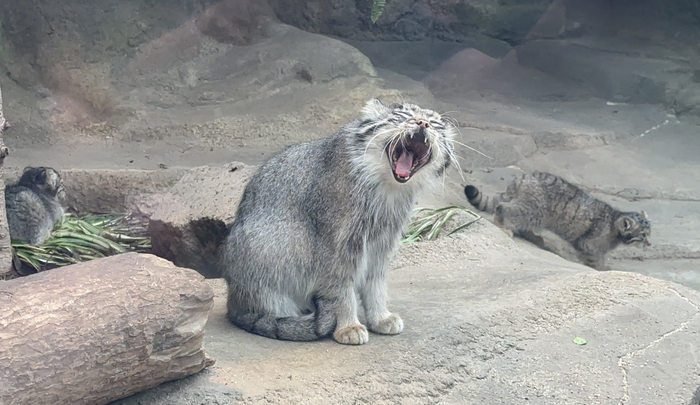 ��������!! � ��� �� �������!!!