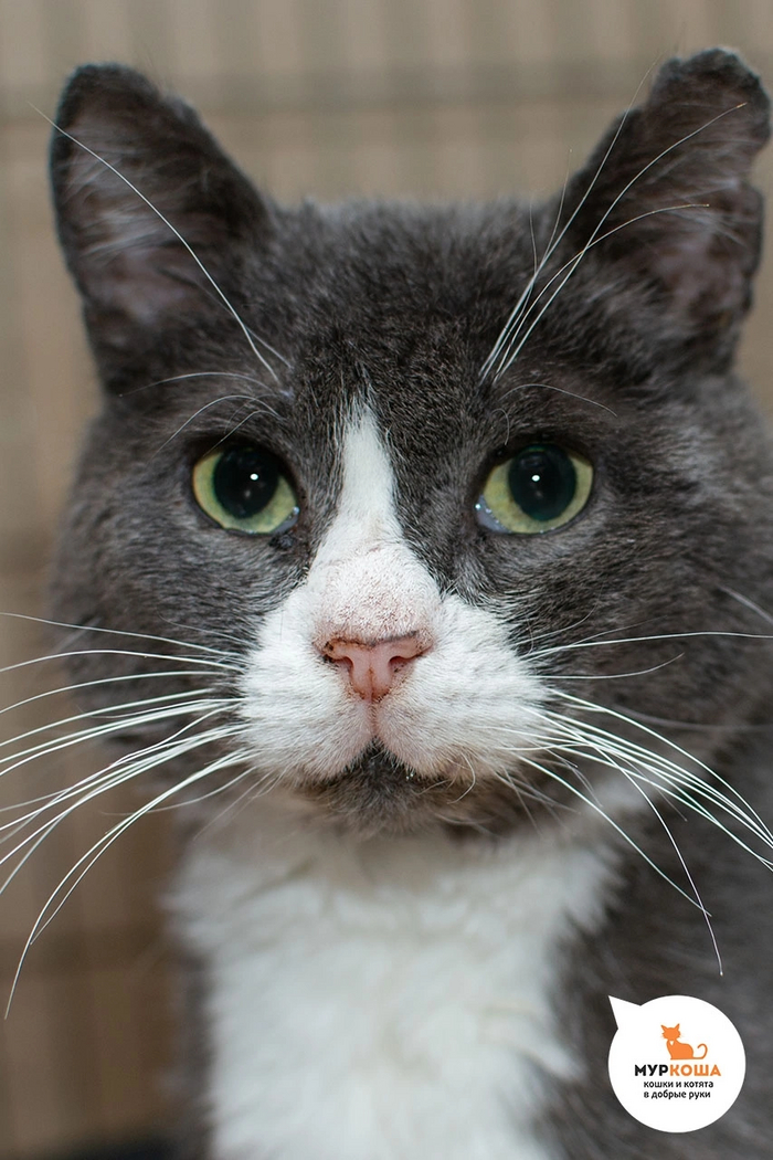     .    ,    !    ,     .