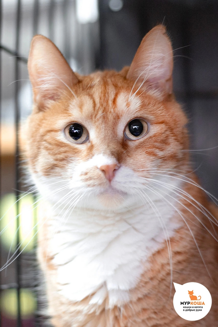      ,    ,              .