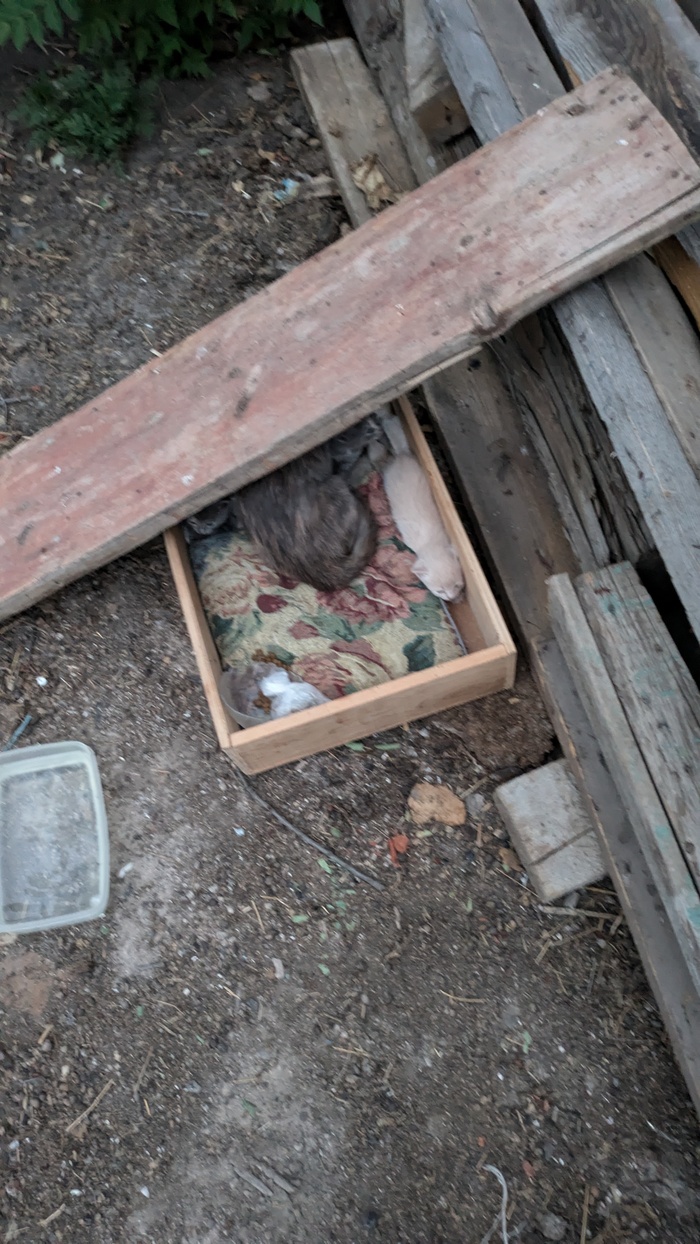 ������ � ������ ����...