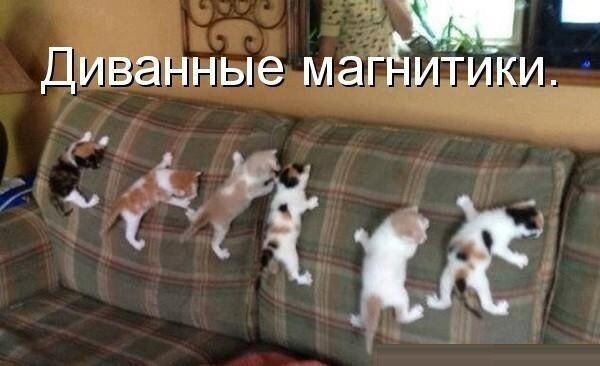 ����� ���������