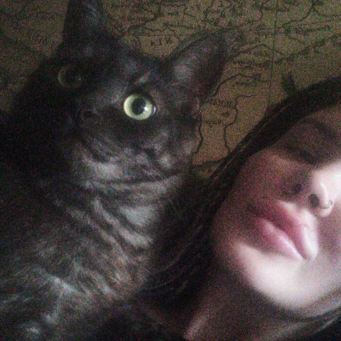 Давайте знакомиться