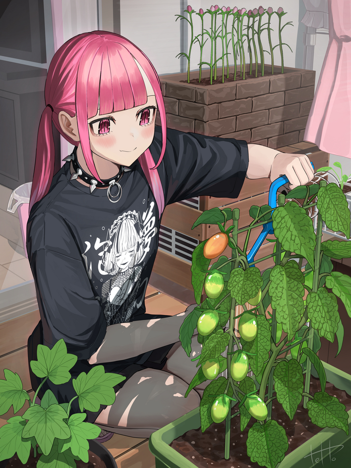 Балконный огород