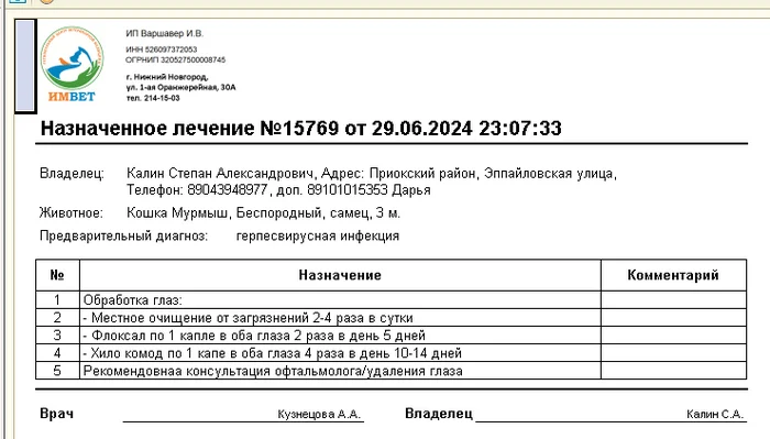 Сбор до воскресенья - Моё, Без рейтинга, В добрые руки, Помощь, Волонтерство, Бездомные животные, Кот, Благотворительность, Лечение, Длиннопост