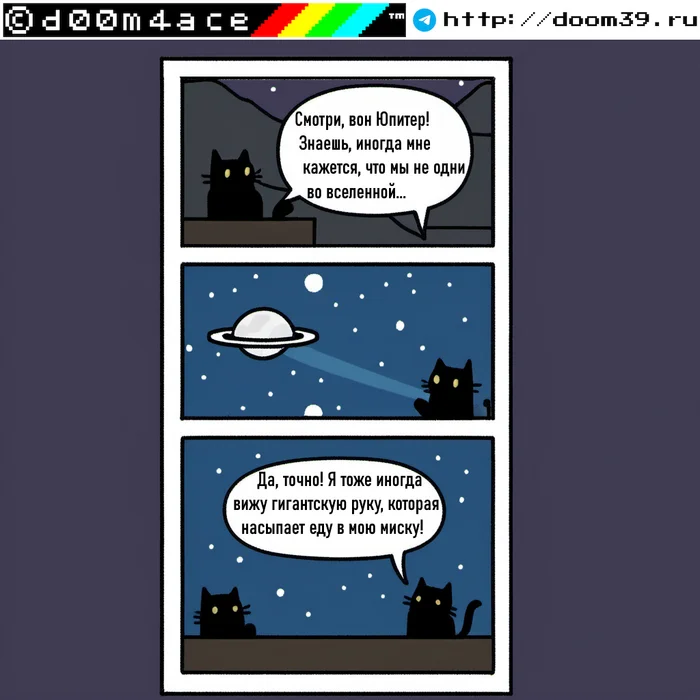 #25 d00m4ace mini comic on the theme of MMORPG and 42 - Comics, Memes, Relaxation, Flood, cat, Cat lovers, Black cat