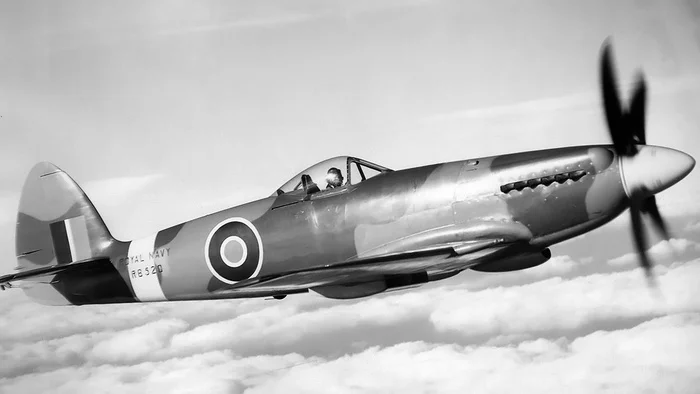 British Mustang: we want the same, but our own - Military equipment, Aviation, Great Britain, Fighter, Mat, Longpost