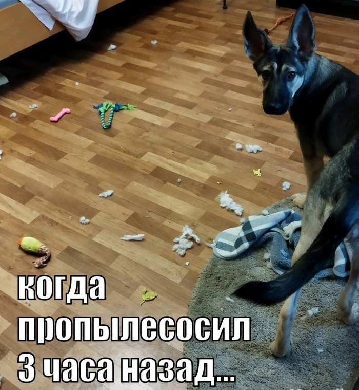  25...