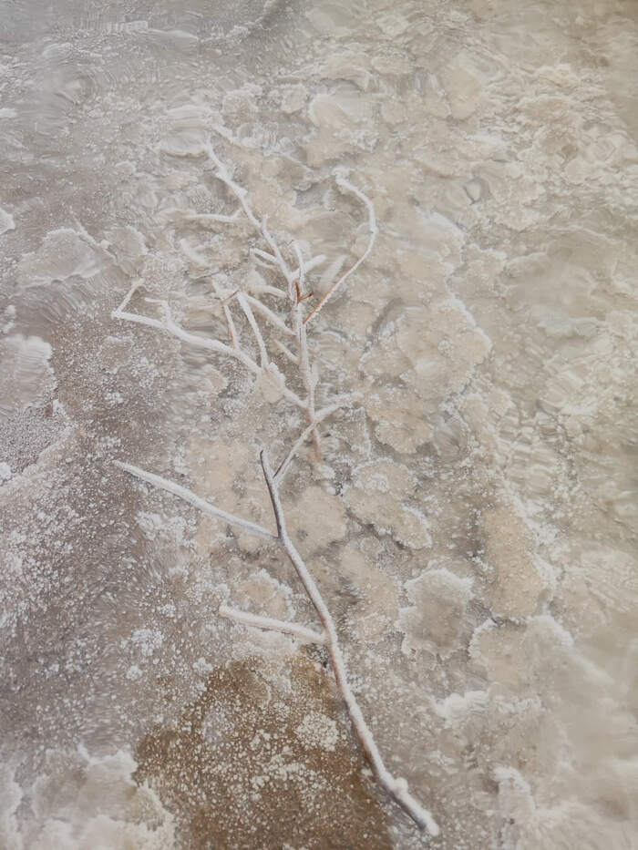  . : <a href="https://pikabu.ru/story/gde_nakhoditsya_rossiyskoe_mertvoe_more_11566251?u=https%3A%2F%2Fvk.com%2Fvictoria.kazarova&t=%D0%92%D0%B8%D0%BA%D1%82%D0%BE%D1%80%D0%B8%D1%8F%20%D0%9A%D0%B0%D0%B7%D0%B0%D1%80%D0%BE%D0%B2%D0%B0%20%7C%20%D0%92%D0%9A%D0%BE%D0%BD%D1%82%D0%B0%D0%BA%D1%82%D0%B5&h=26fa4374493da78eeabc126ccd8e7f899faca0f8" title="https://vk.com/victoria.kazarova" target="_blank" rel="nofollow noopener">  | </a>