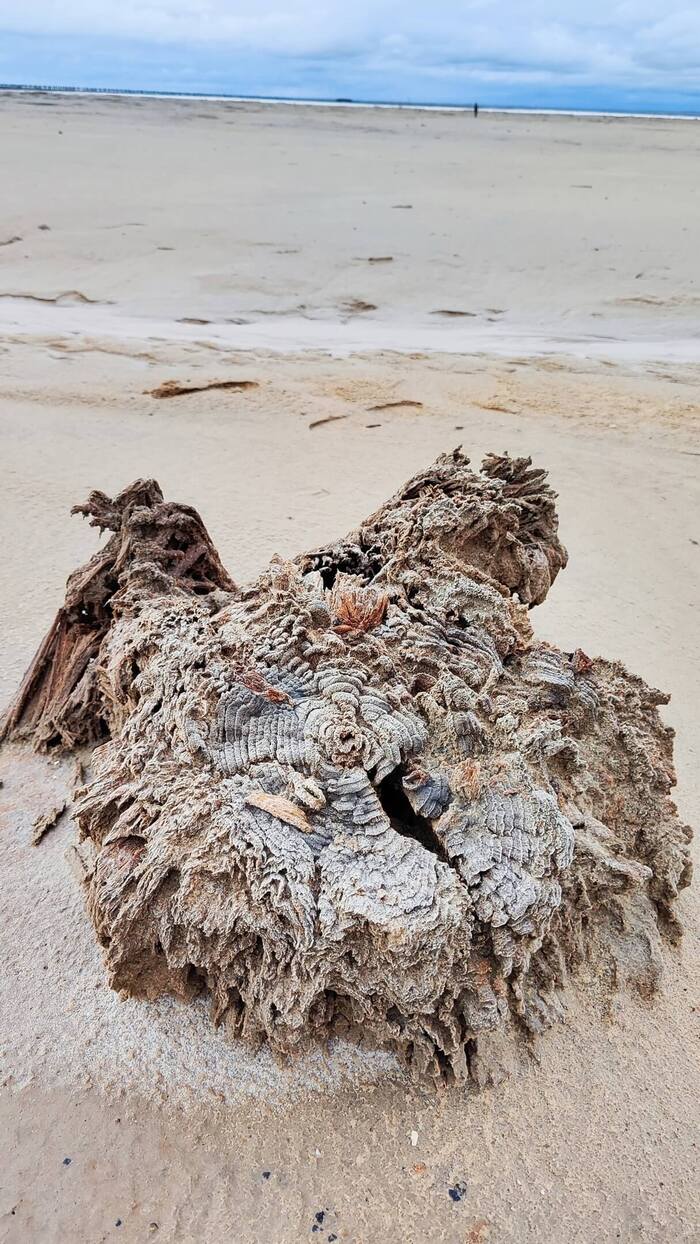  . : <a href="https://pikabu.ru/story/gde_nakhoditsya_rossiyskoe_mertvoe_more_11566251?u=https%3A%2F%2Fvk.com%2Fvictoria.kazarova&t=%D0%92%D0%B8%D0%BA%D1%82%D0%BE%D1%80%D0%B8%D1%8F%20%D0%9A%D0%B0%D0%B7%D0%B0%D1%80%D0%BE%D0%B2%D0%B0%20%7C%20%D0%92%D0%9A%D0%BE%D0%BD%D1%82%D0%B0%D0%BA%D1%82%D0%B5&h=26fa4374493da78eeabc126ccd8e7f899faca0f8" title="https://vk.com/victoria.kazarova" target="_blank" rel="nofollow noopener">  | </a>