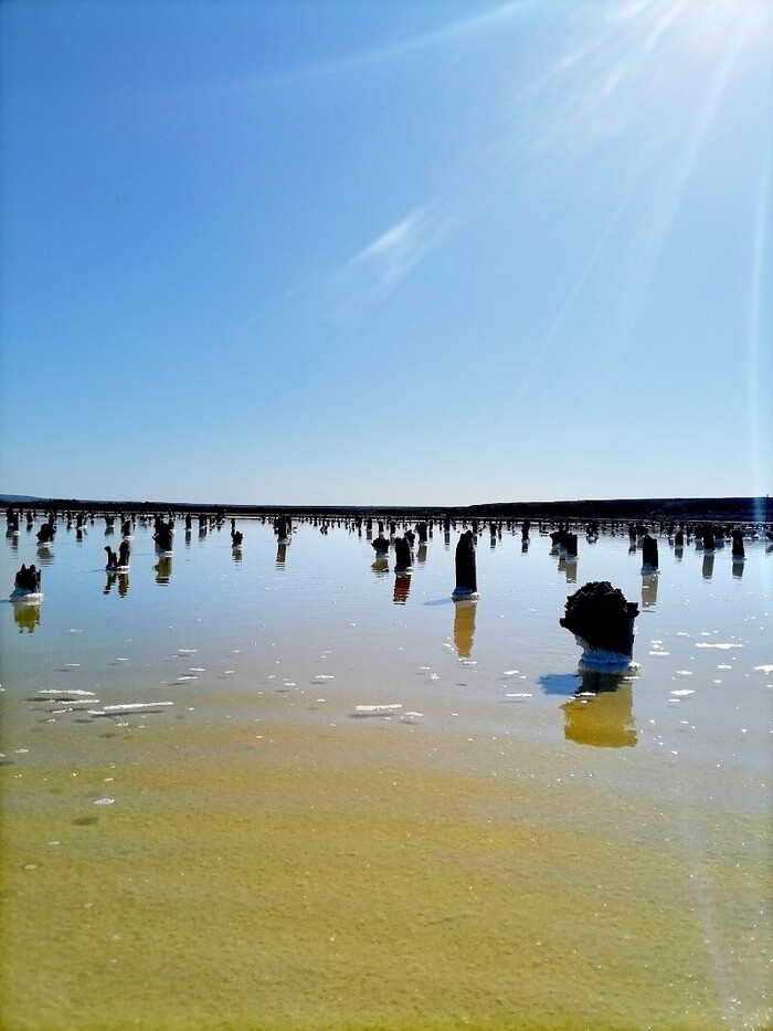  . : <a href="https://pikabu.ru/story/gde_nakhoditsya_rossiyskoe_mertvoe_more_11566251?u=https%3A%2F%2Fvk.com%2Fid738712404&t=%D0%A4%D0%BE%D1%82%D0%B0%20%D0%A0%D0%BE%D0%BC%D0%B0%D0%BD%D0%B5%D0%BD%D0%BA%D0%BE%20%7C%20%D0%92%D0%9A%D0%BE%D0%BD%D1%82%D0%B0%D0%BA%D1%82%D0%B5&h=f0ad6f3575f905b82c442b8611336f9455fedef9" title="https://vk.com/id738712404" target="_blank" rel="nofollow noopener">  | </a>