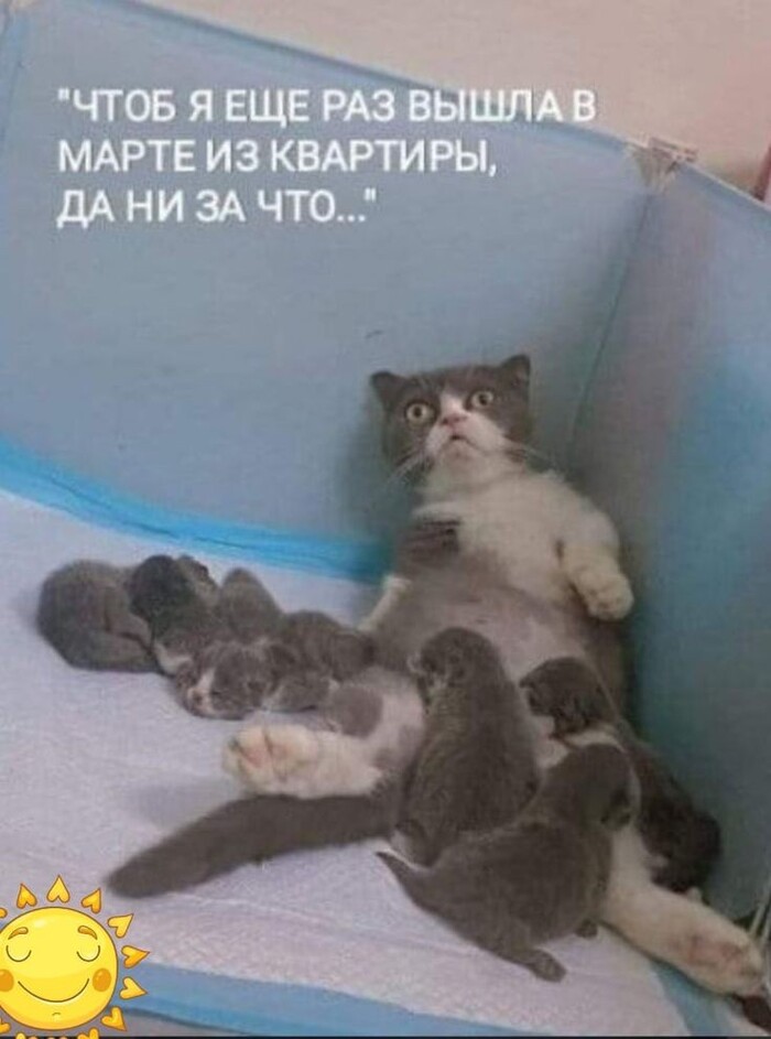    ,  , 