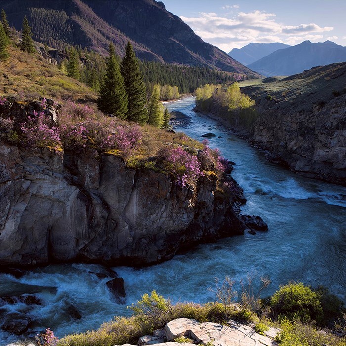 Why is the Katun River a paradise for rafting? - Туристы, Tourism, Drive, Mountain tourism, Sport, Leisure, Alloy, Longpost