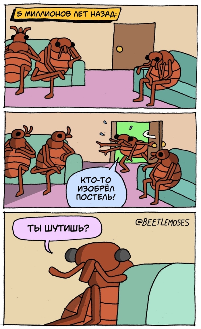 ���������� �����