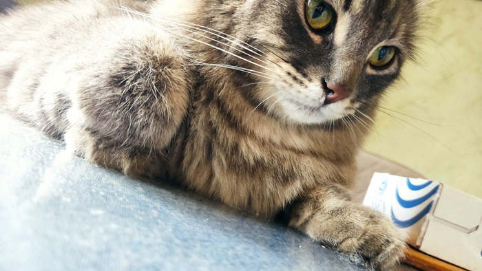 Снова наш странный Дед