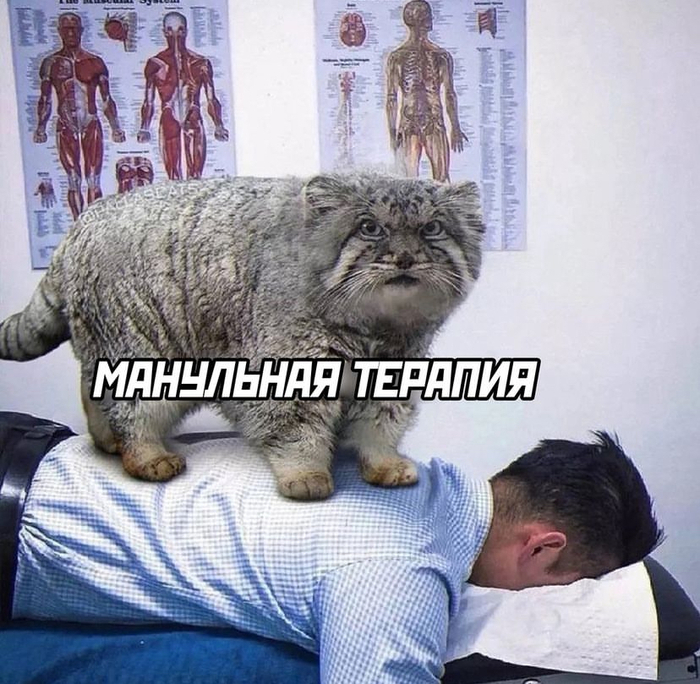 Специалист не доволен