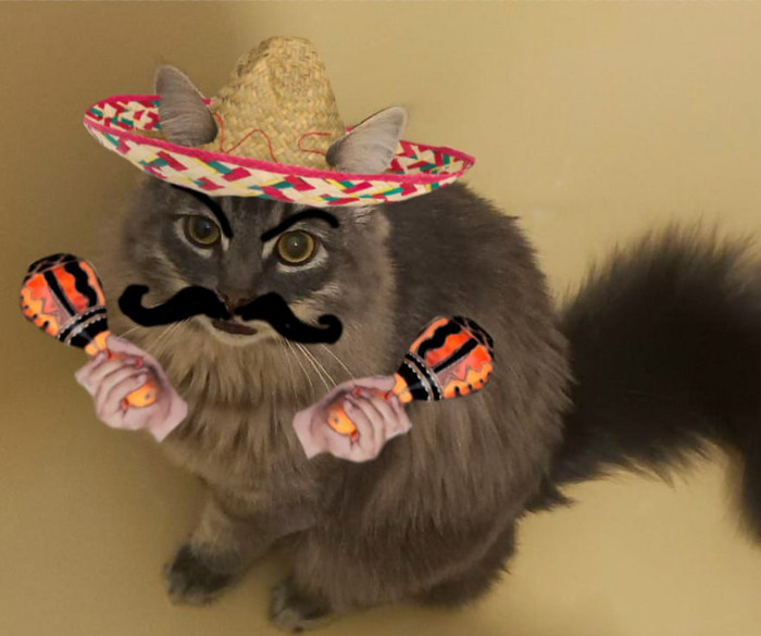 Так, что у нас тут сегодня. Дед.. Дед в какой-то другой стране