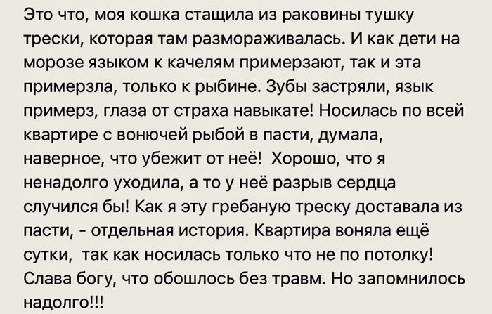 Кошка-хулиганка