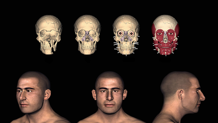 Лицевая реконструкция т.н. Воина с Грифоном из гробницы близ древнегреческого Пилоса, датируемая серединой XV века до н.э.